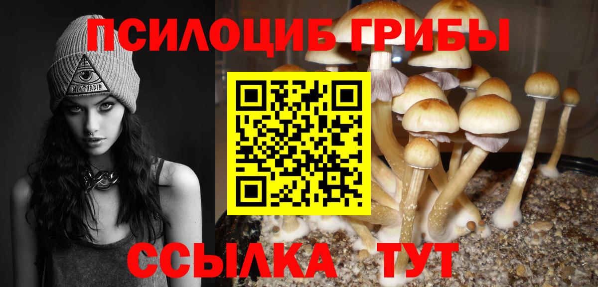 Маркс  Галлюциногенные грибы Psilocybe  Вход с VPN 